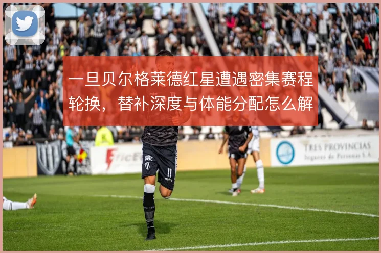 一旦贝尔格莱德红星遭遇密集赛程轮换，替补深度与体能分配怎么解