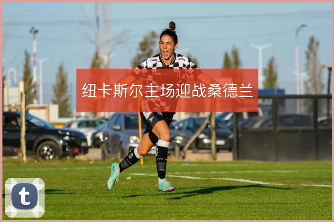 纽卡斯尔主场迎战桑德兰